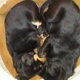 Entry image for Carolina and Celine