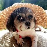 Entry image for Truffles