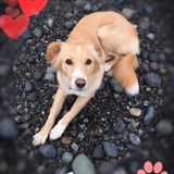 Entry image for Gracie May