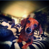 Entry image for Chester