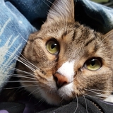 Entry image for Piper Wright