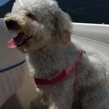 Entry image for Luna