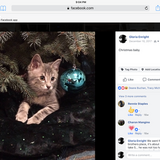 Entry image for Wallace