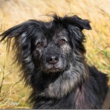 Entry image for Peanut