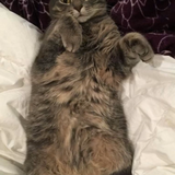 Entry image for Linux