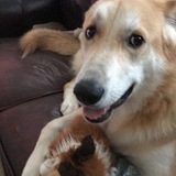 Entry image for Phoebe