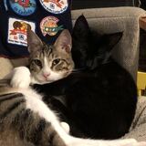 Entry image for Dot and Dash