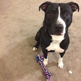 Entry image for Ares