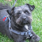 Entry image for Larry