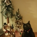 Entry image for Magic