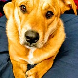 Entry image for Missy