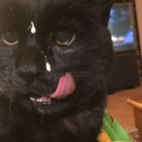 Entry image for Buster 