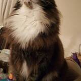 Entry image for Blue