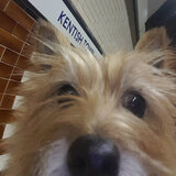 Entry image for Mooch