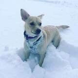 Entry image for Ellie