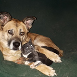 Entry image for Kiara and Smokie