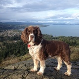 Entry image for Lucy