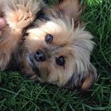 Entry image for Chloe