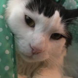 Entry image for Harry