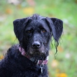 Entry image for Macy