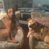 Entry image for Axel & Lexi