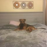 Entry image for Axel Blue