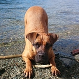 Entry image for Maggie