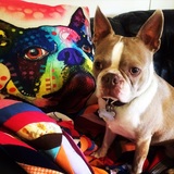 Entry image for Hogan