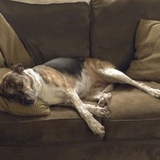 Entry image for Jaydee