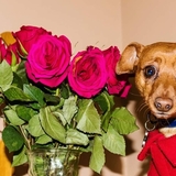 Entry image for Oliver