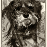 Entry image for Otis