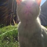 Entry image for Jones