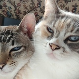 Entry image for Jack & Thea