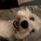 Entry image for Lulu