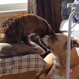 Entry image for Charlie and Molly 