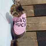 Entry image for Walter