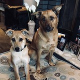 Entry image for Judge and Bailey