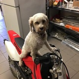 Entry image for Lulu