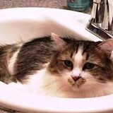 Entry image for Chloe