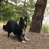 Entry image for Abbey