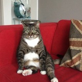 Entry image for George