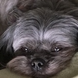 Entry image for Maggie