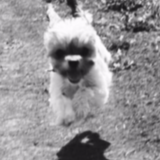 Entry image for Molly