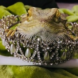 Entry image for Mr ZZ Top