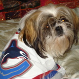 Entry image for Bubbles