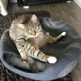 Entry image for Spice