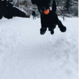 Entry image for Marley 