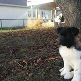 Entry image for Hela