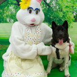 Entry image for Hela