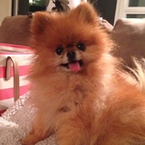 Entry image for Turkey